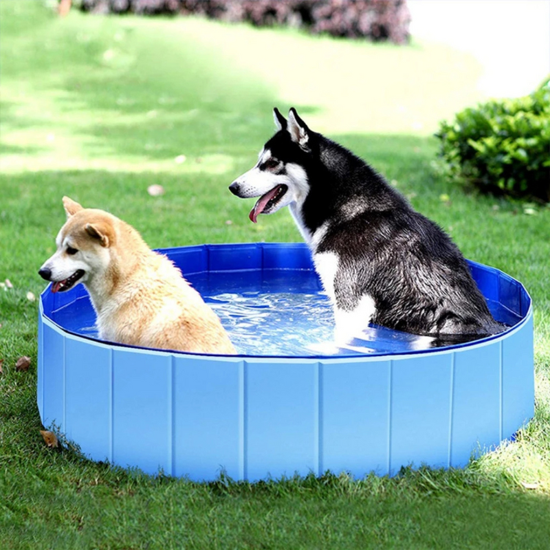 Piscina Pet Dobrável Banheira para Cachorros