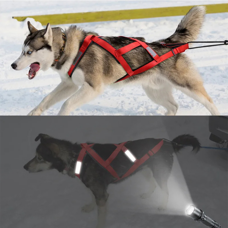 Peitoral Coleira Mãos Livre para Corrida com Cachorros