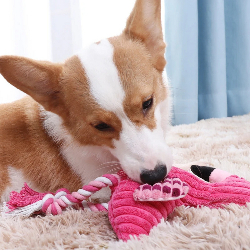 Brinquedo Pelúcia com Corda Flamingo Mordedor para Cachorros