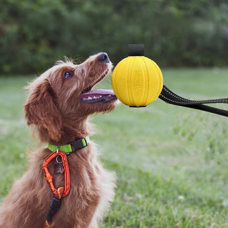 Brinquedo Bola com Alça para Treinamento Adestramento de Cães