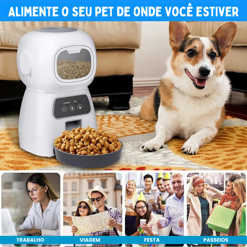 Alimentador Comedouro Pet Automático Inteligente Programável para Cães e Gatos