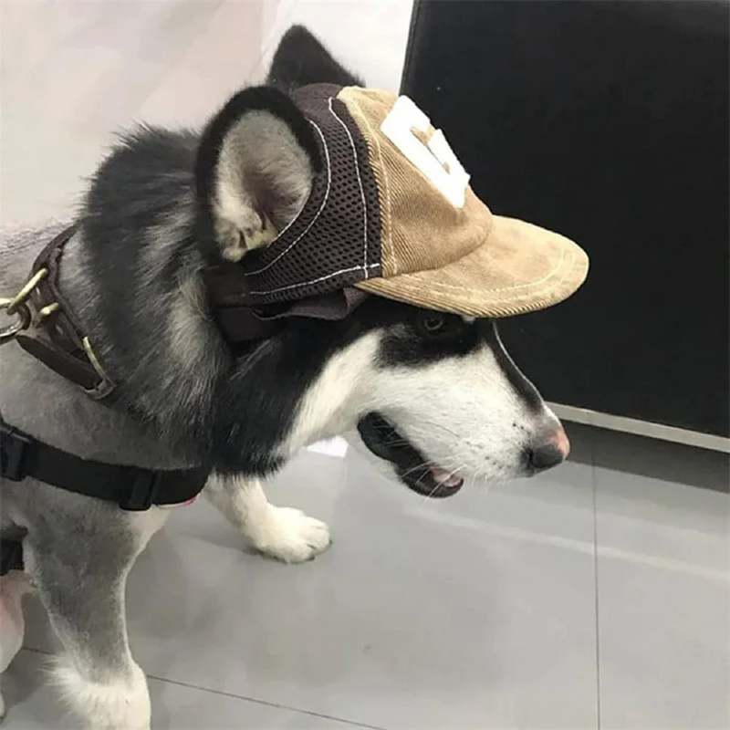 Boné Beisebol com Abertura de Orelhas para Cachorros