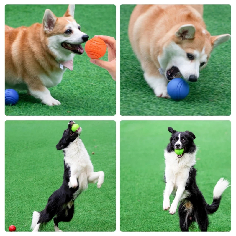 Bola Resistente Mastigável para Cachorros