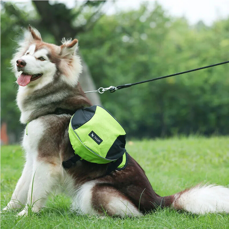 Bolsa Bag para Cachorro Adestramento e Treinamento