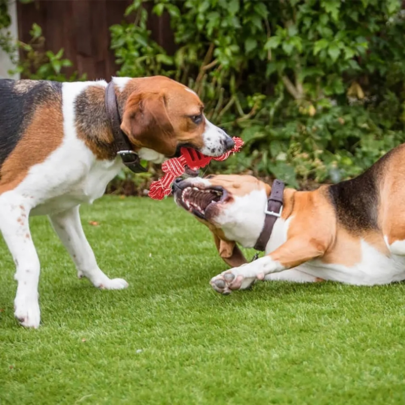 Brinquedo Corda Mordedor Resistente com Bola para Cachorros