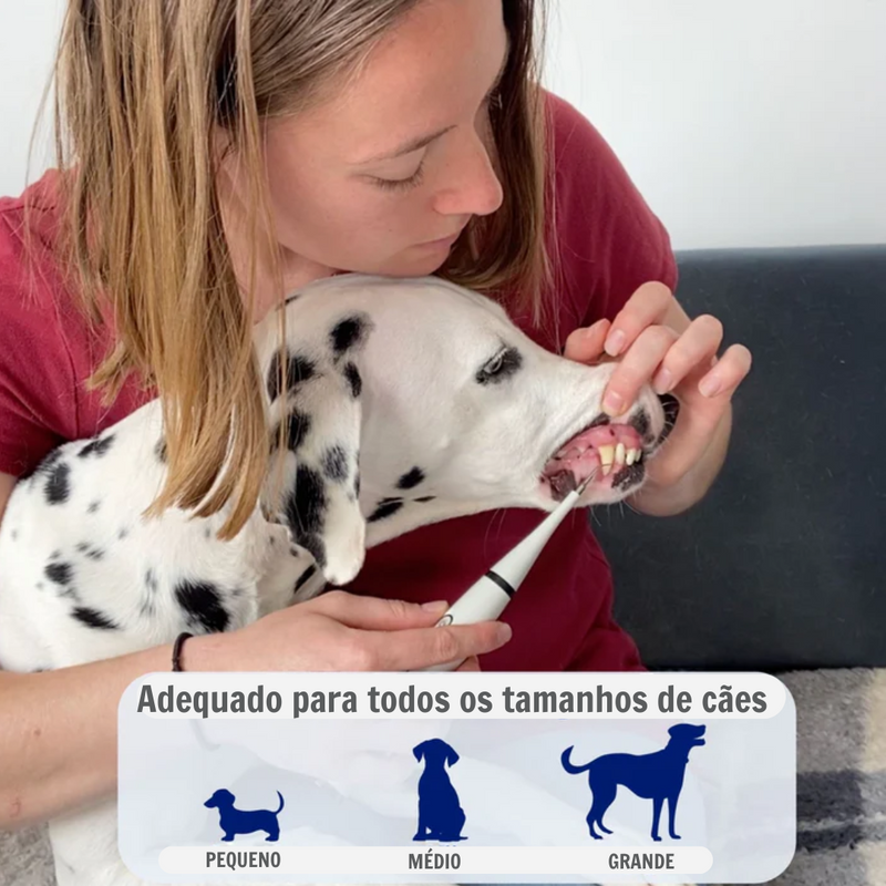 Ultrassônico Removedor de tártaro em cães e gatos - SmilePet™