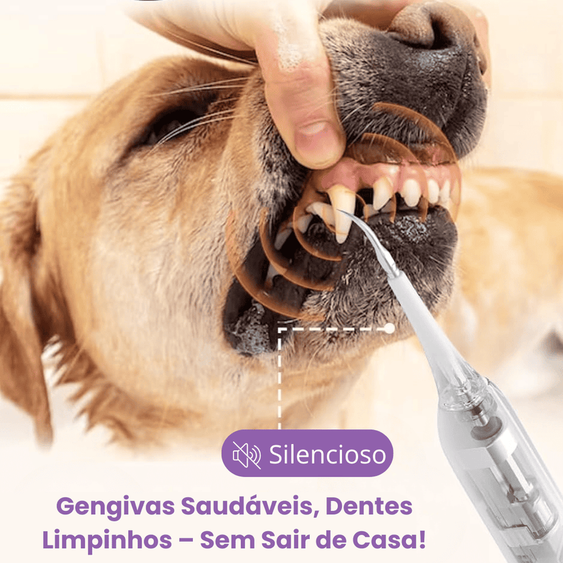 Ultrassônico Removedor de tártaro em cães e gatos - SmilePet™