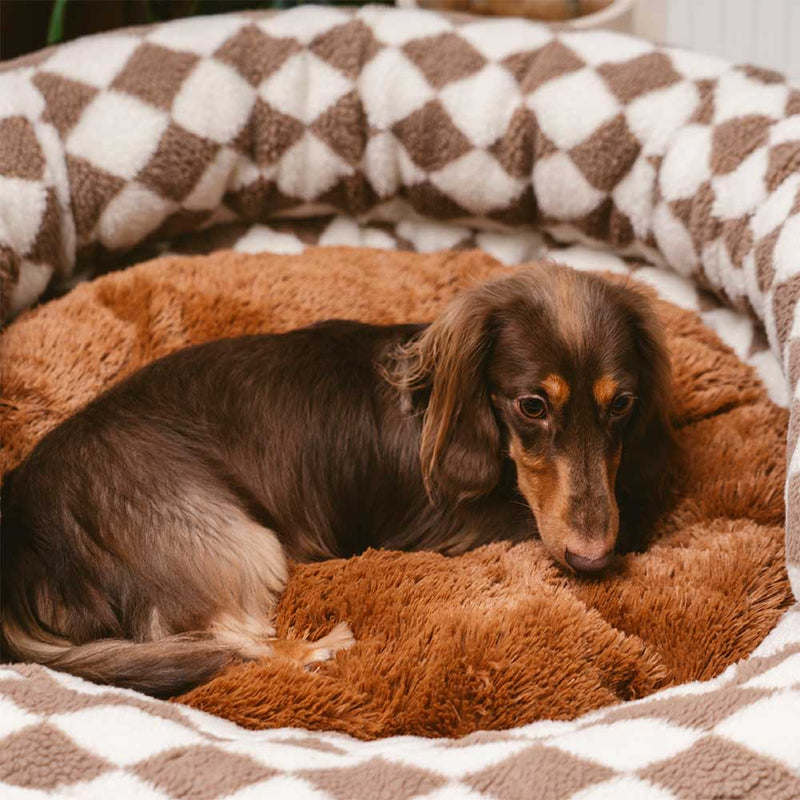 Cama para cachorro Clássico Argila lavável Bolinho de Donut - Refúgio acolhedor