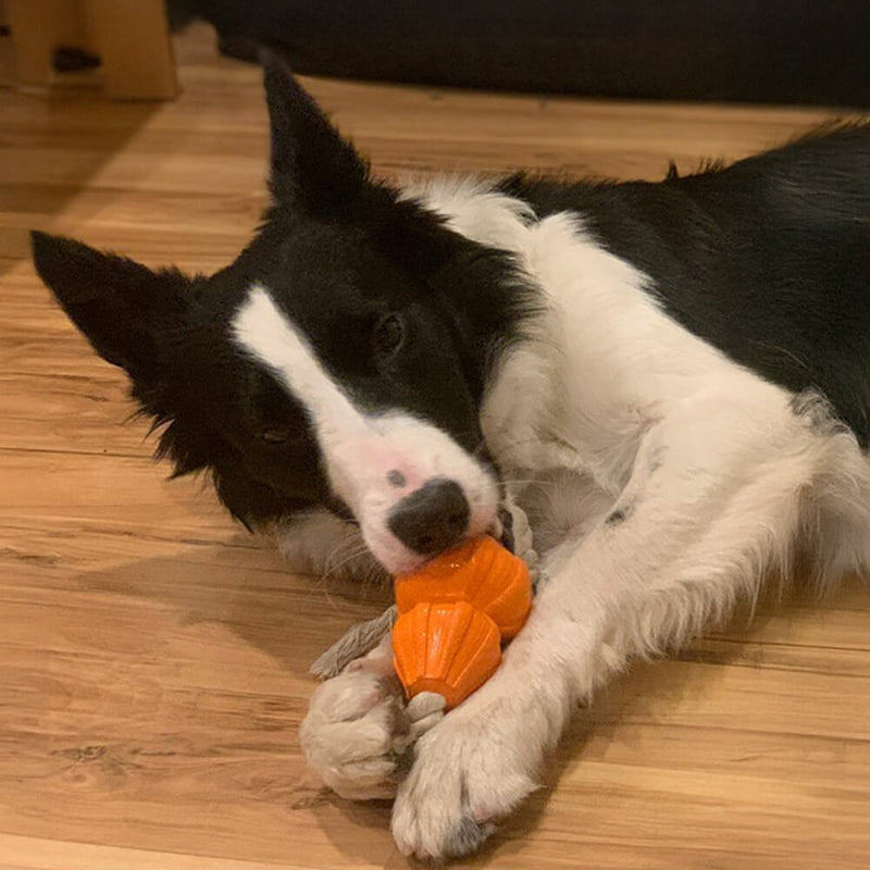 Brinquedo interativo durável para cães com corda de algodão