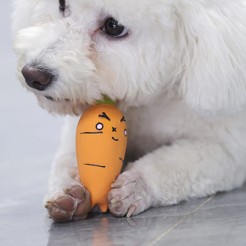 Brinquedo interativo para cães, látex, vegetal, durável, mastigador