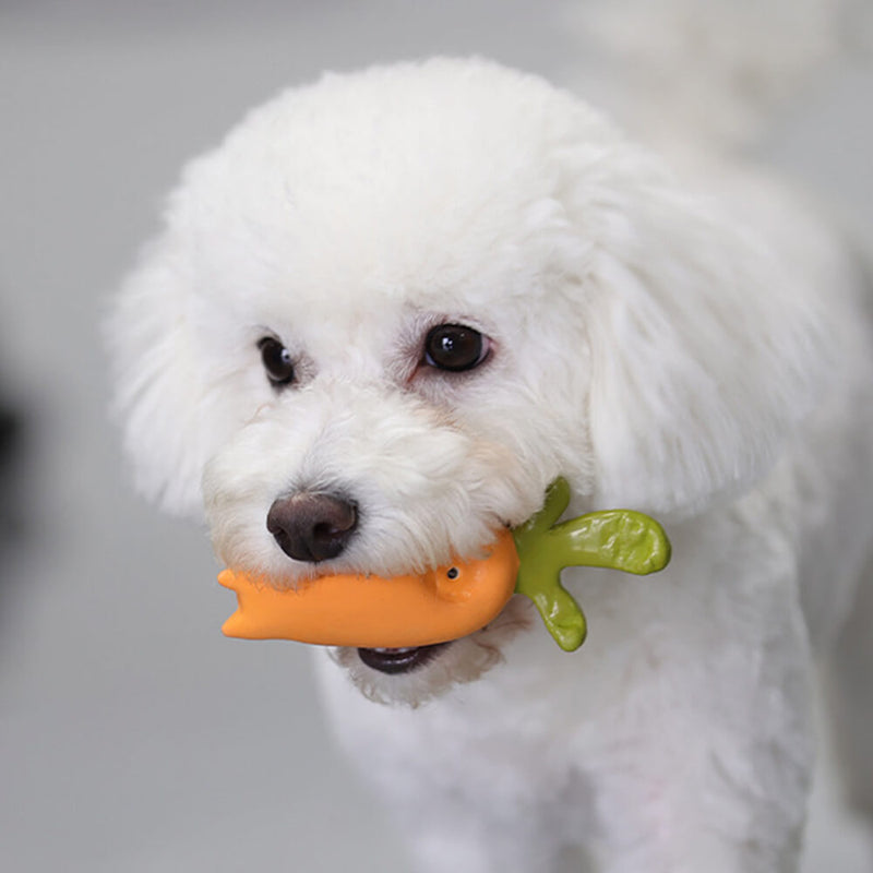 Brinquedo interativo para cães, látex, vegetal, durável, mastigador