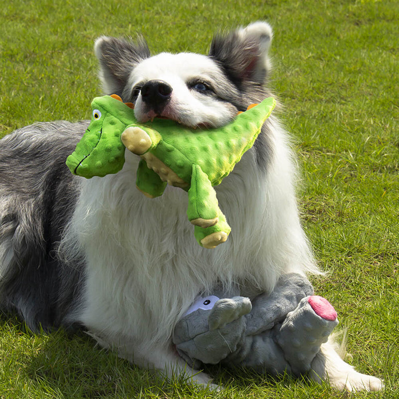 Brinquedo durável para cães jacaré resistente a mordidas com apito embutido