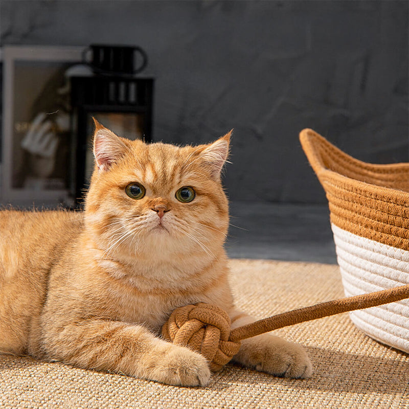 Cama de ninho de gato feita à mão, aconchegante, multiuso, durável e trançada