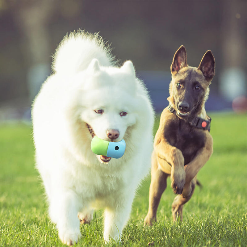 Bola de guloseimas rolante brinquedo interativo de silicone para cães