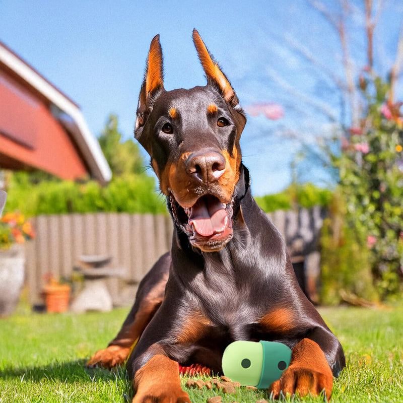 Bola de guloseimas rolante brinquedo interativo de silicone para cães