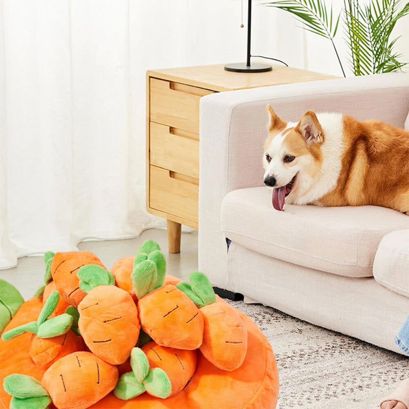 Brinquedo Interativo de Enriquecimento para Cachorros - Cenouras Rangentes