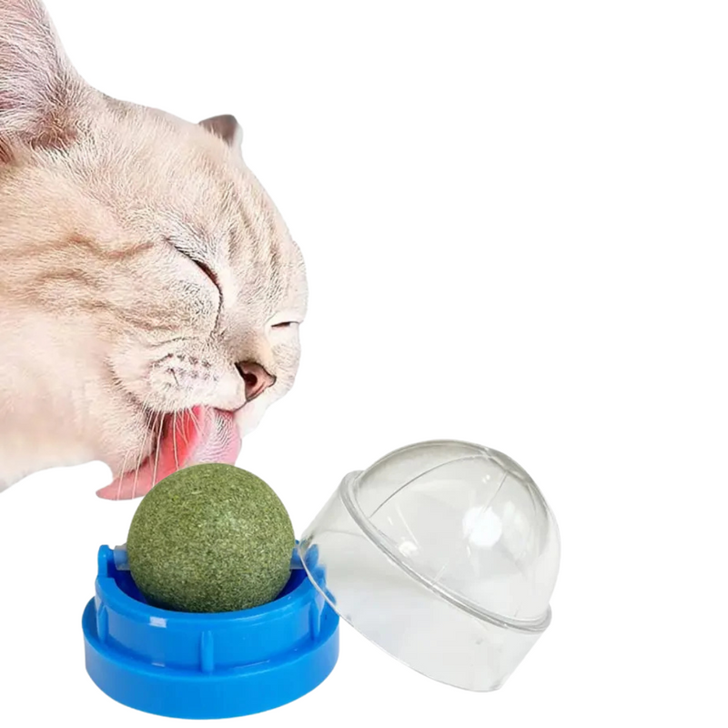 Brinquedo Bolinha de Catnip Interativa Atrativa para Gatos com Adesivo Dupla Face