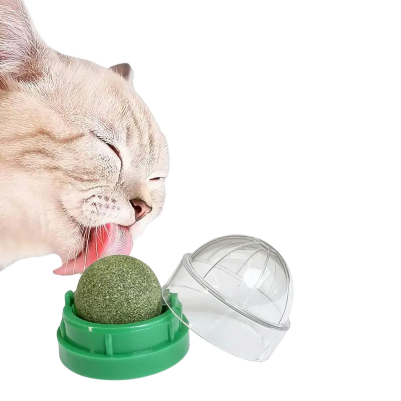 Brinquedo Bolinha de Catnip Interativa Atrativa para Gatos com Adesivo Dupla Face