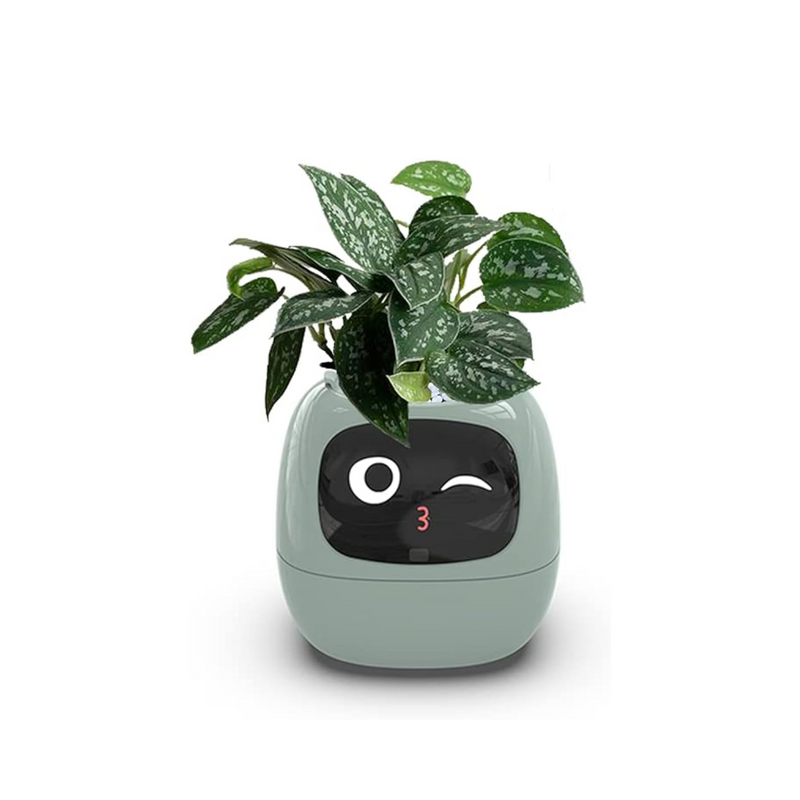 Vaso Inteligente Plantador Tuya Ivy Chip AI