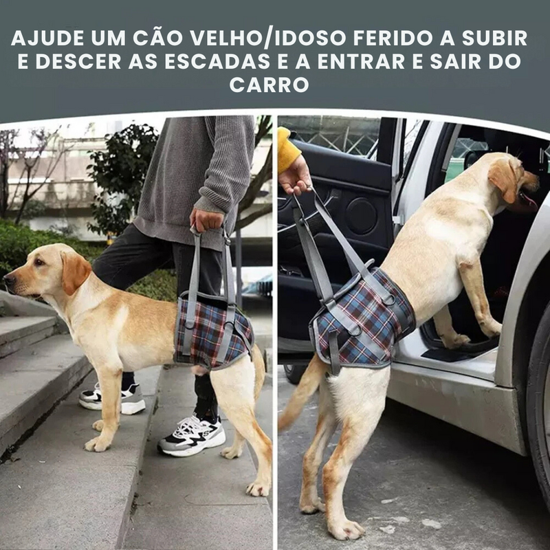 Suporte Sling com Alça Ajustável para Cachorros Idosos com Dificuldade de Andar Displasia Deficiência Pós Cirurgia