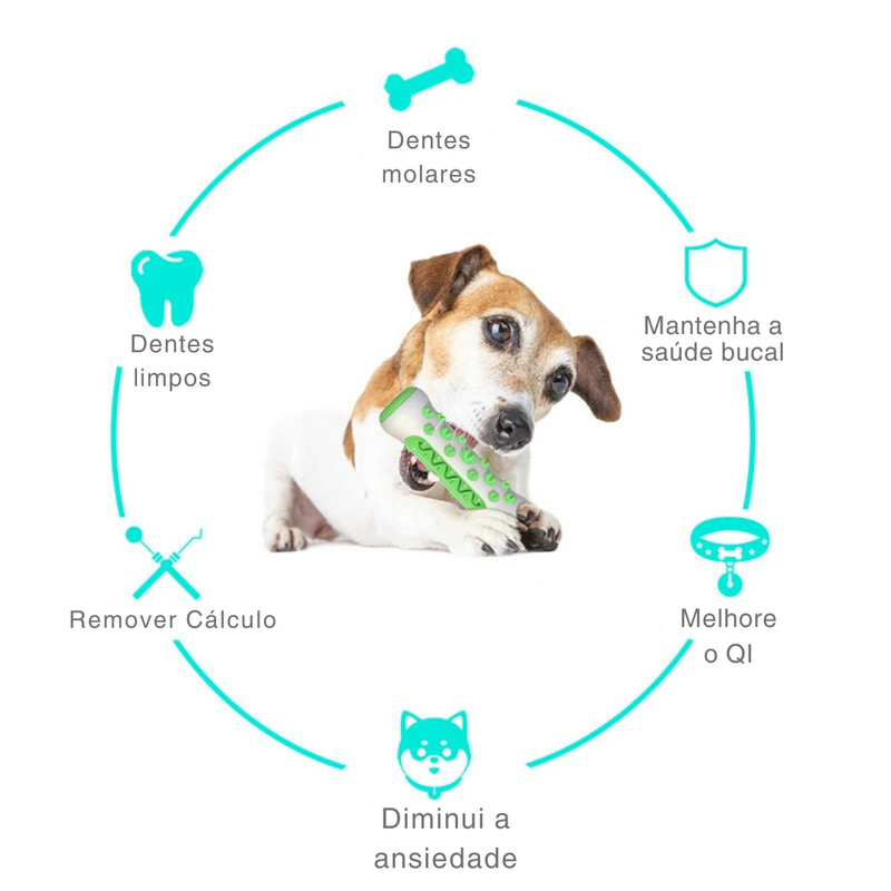 Mordedor Escova de Dentes para Mastigação e Limpeza de Dentes de Cachorros