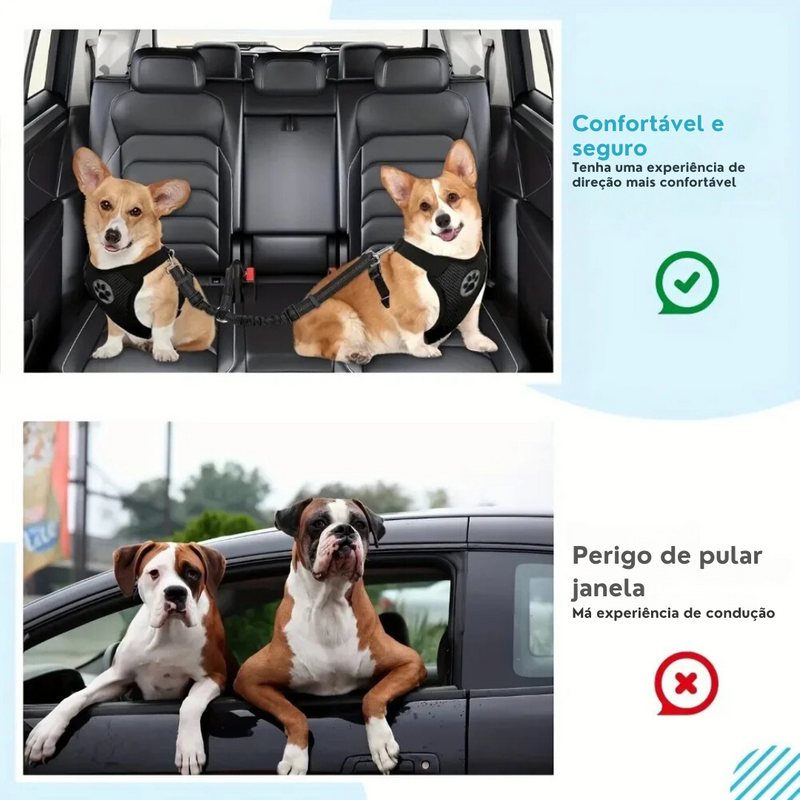 Cinto de Segurança Pet Duplo para 2 Cães Elástico Anti Enforcamento com Fivela de Metal