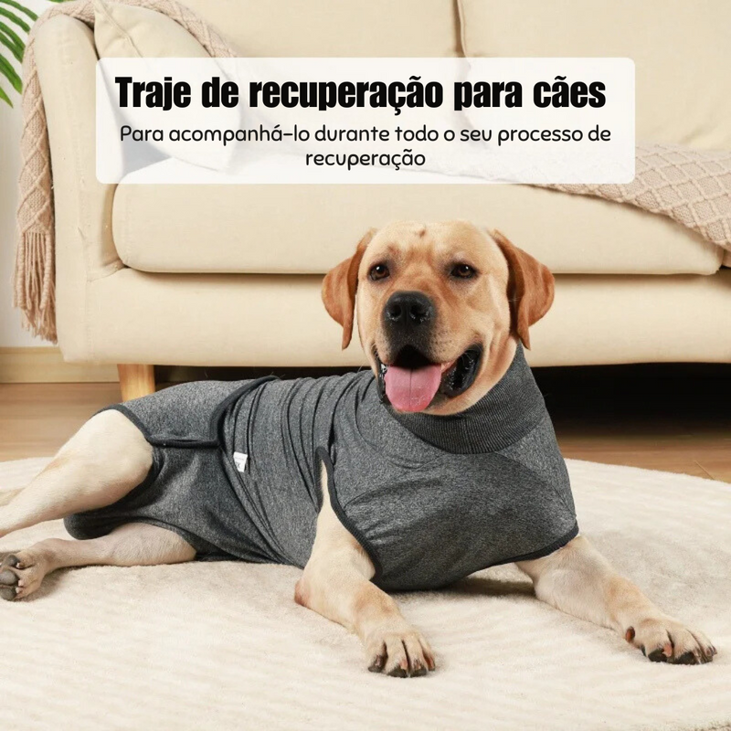 Roupa de Recuperação Pós Cirúrgica para Cães e Gatos