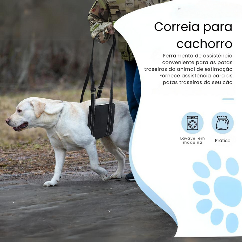 Suporte Sling Apoio para Cachorros com Dificuldade de Caminhar Lesão Artrite