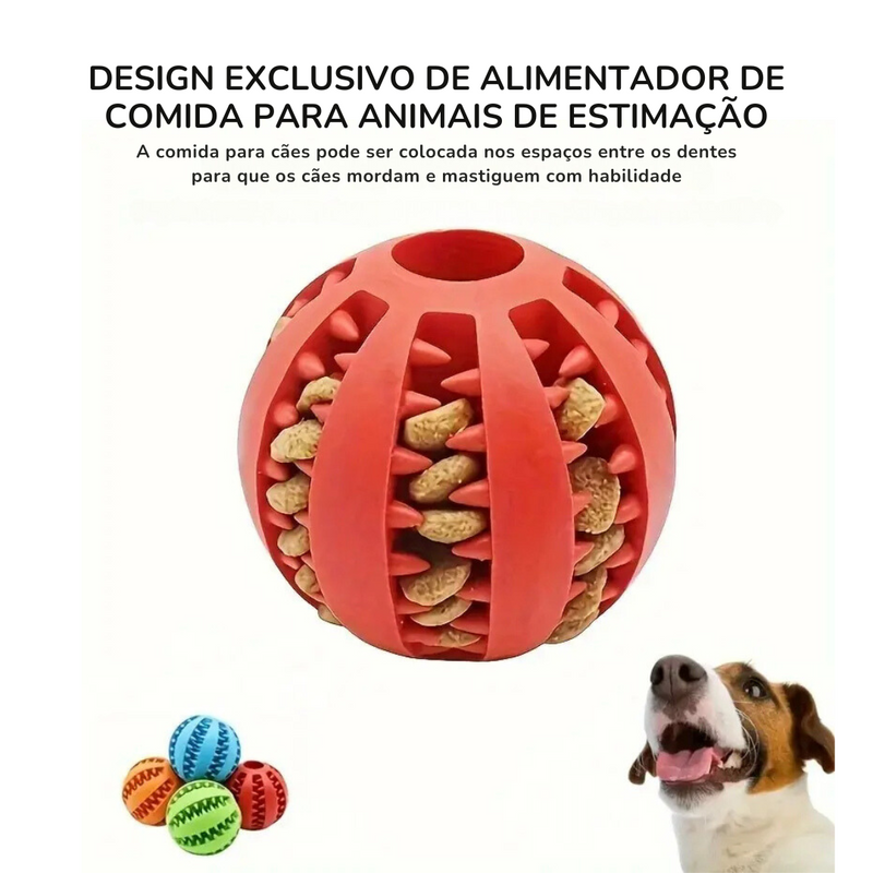 Bolinha Pet Dog Toy Ball Petisqueira