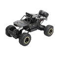 RC 4x4 de Controle Remoto Premium Idade 3 Anos