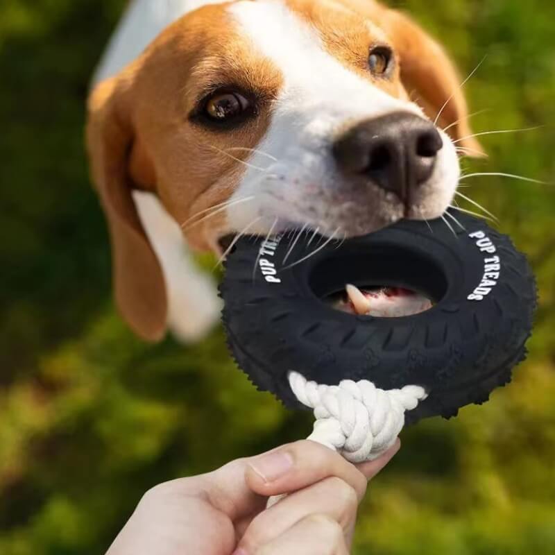 Brinquedo interativo para cachorro com pneu de borracha, brinquedo para dentição e mastigação