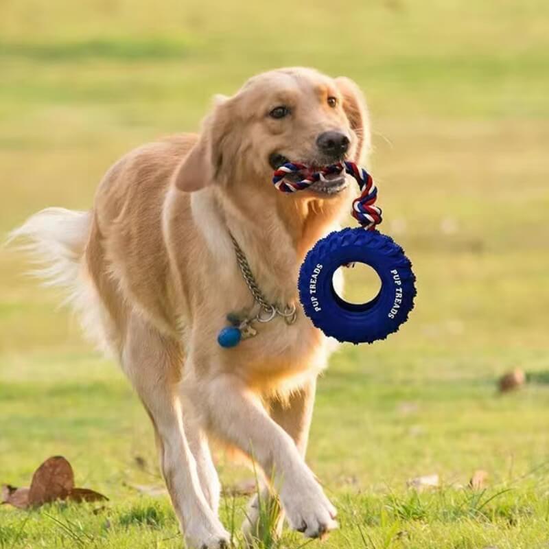 Brinquedo interativo para cachorro com pneu de borracha, brinquedo para dentição e mastigação