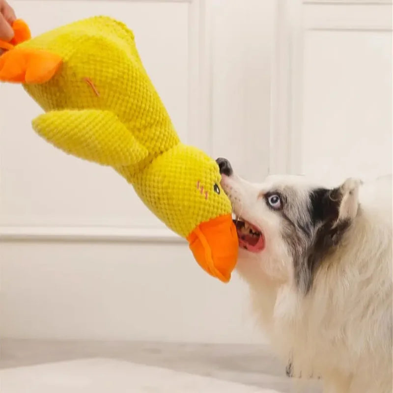 Pato Amigo para Pet Chew Toy  - Distração com Limpeza dos Dentes