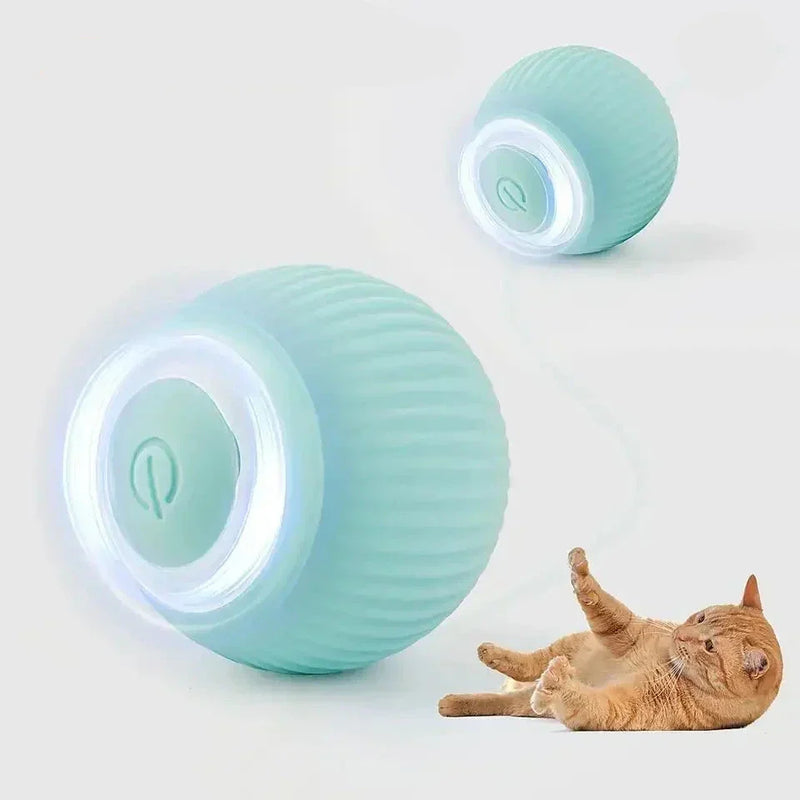 Bolinha Inteligente para Gatos - Cats Ball Premium