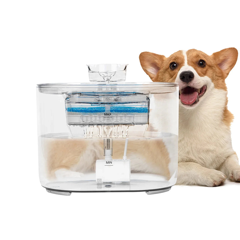 AquaPet: Água Fresca, Pet Feliz!