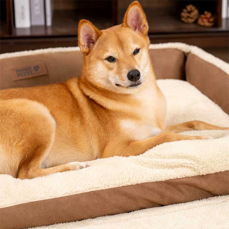 Cama ergonômica expansível e relaxante para cães - Tranquil Paws