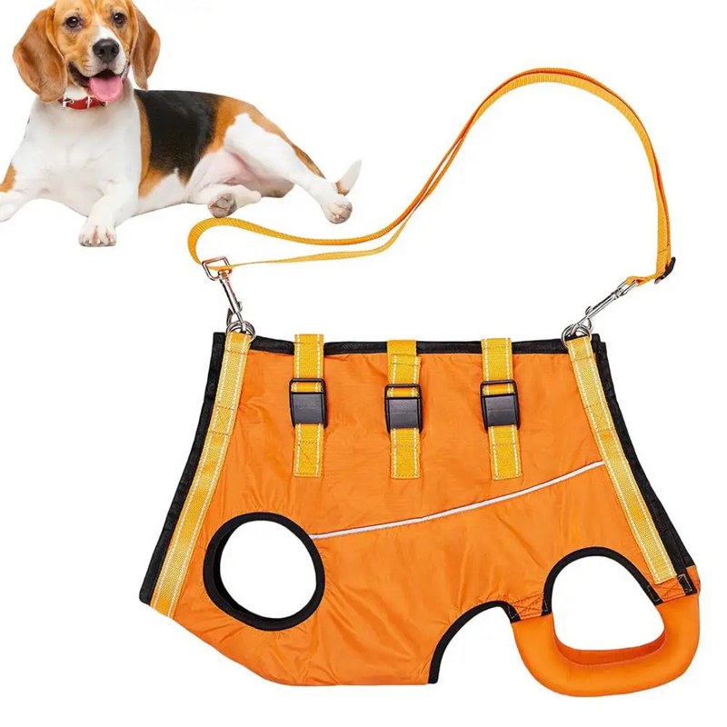 Arnês Suporte Sling para Auxilio Caminhada de Cachorros com Deficiência Dificuldade de Andar