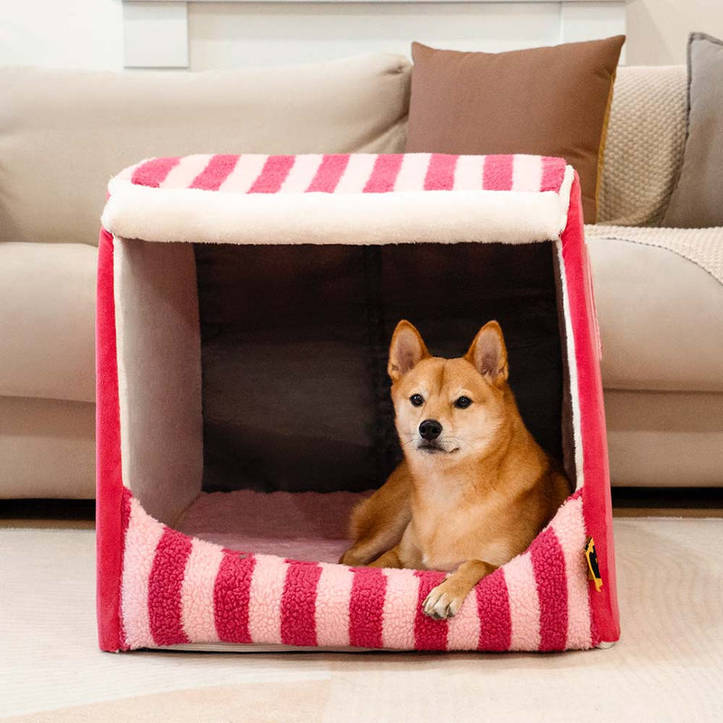 Cama ortopédica para cães Casa com riscas na moda - Refúgio acolhedor