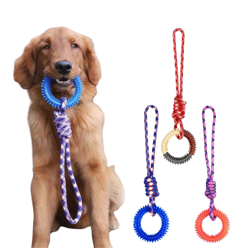 Brinquedo Corda com Argola Pet Mordedor Resistente para Dentição de Cães