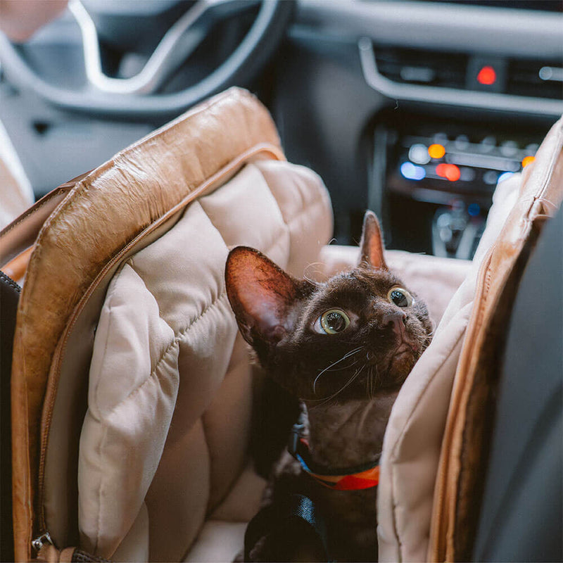 Transportador Multifuncional Ecológico Vogue para Gatos - Roamer da Cidade