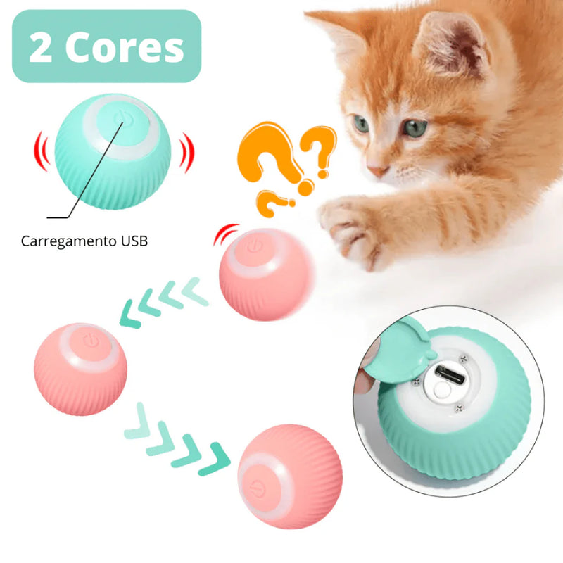 Bolinha Elétrica Automática para Cães e Gatos