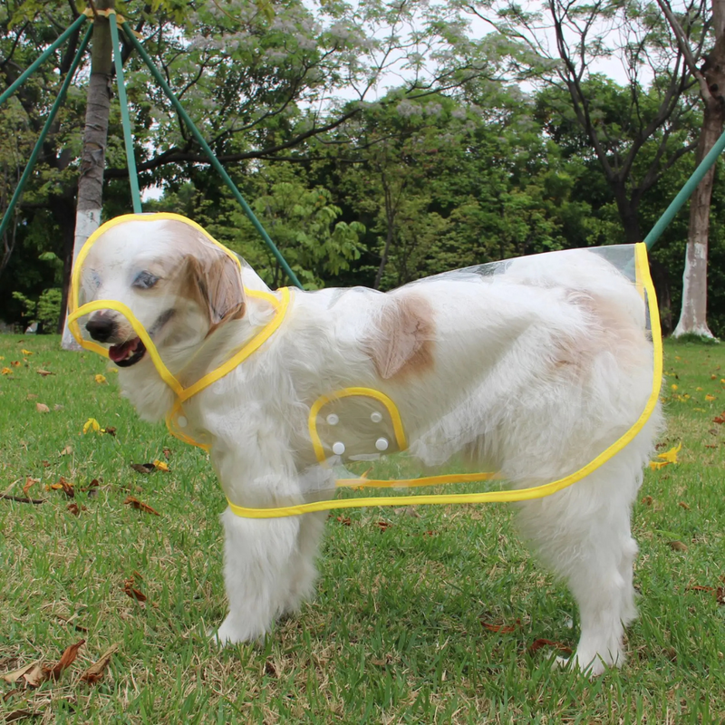 Capa de Chuva Pet Transparente com Capuz e Botões